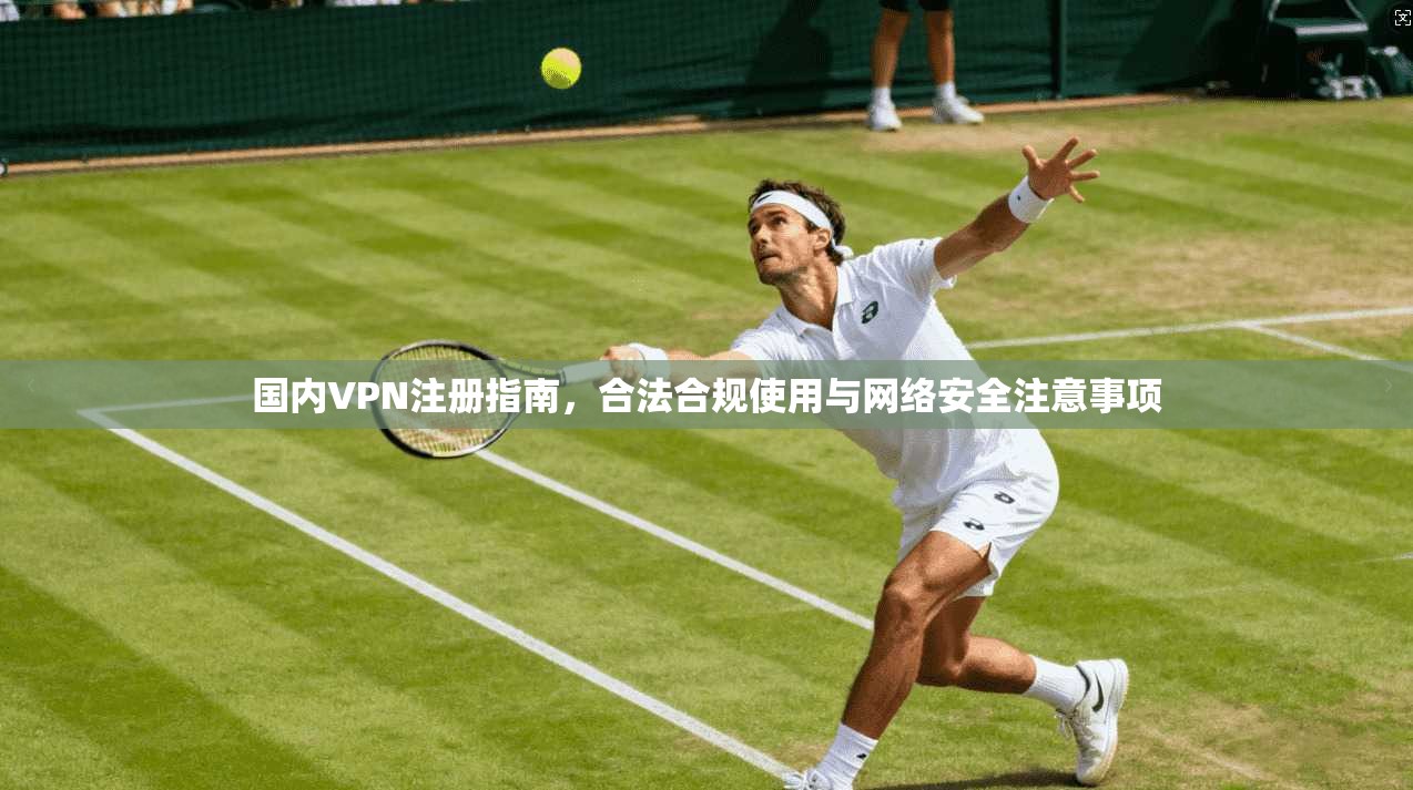 国内VPN注册指南，合法合规使用与网络安全注意事项