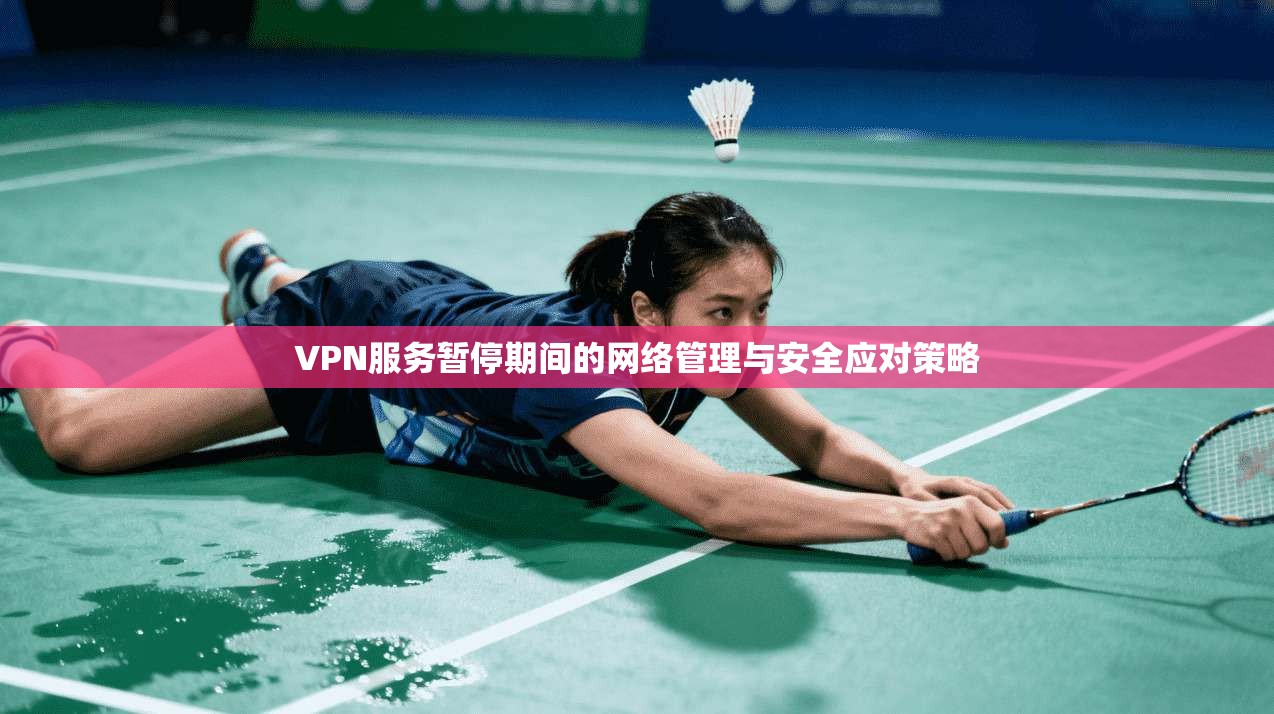 VPN服务暂停期间的网络管理与安全应对策略