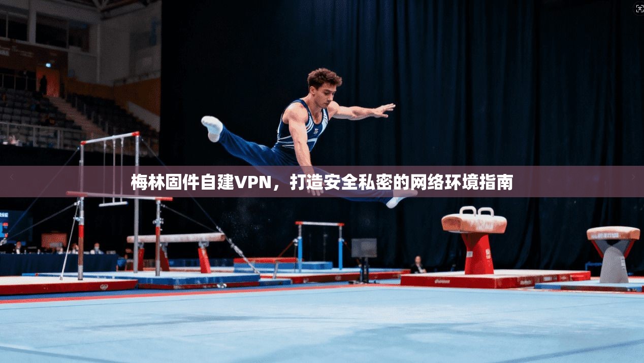 梅林固件自建VPN，打造安全私密的网络环境指南
