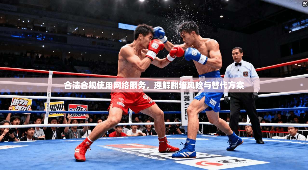 合法合规使用网络服务，理解翻墙风险与替代方案