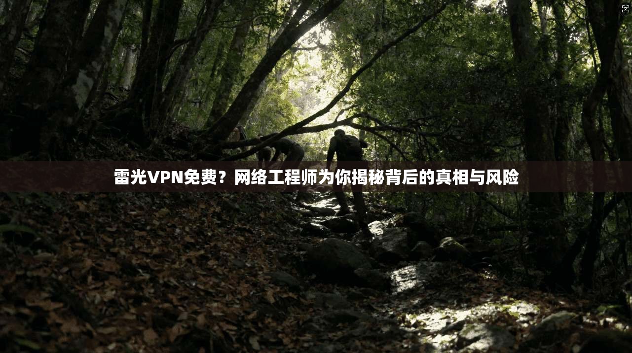 雷光VPN免费？网络工程师为你揭秘背后的真相与风险