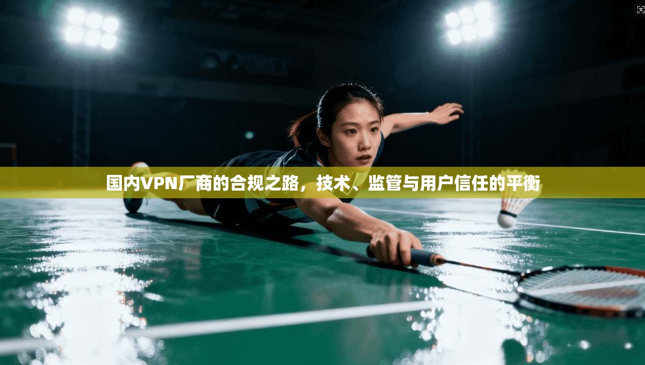 国内VPN厂商的合规之路，技术、监管与用户信任的平衡