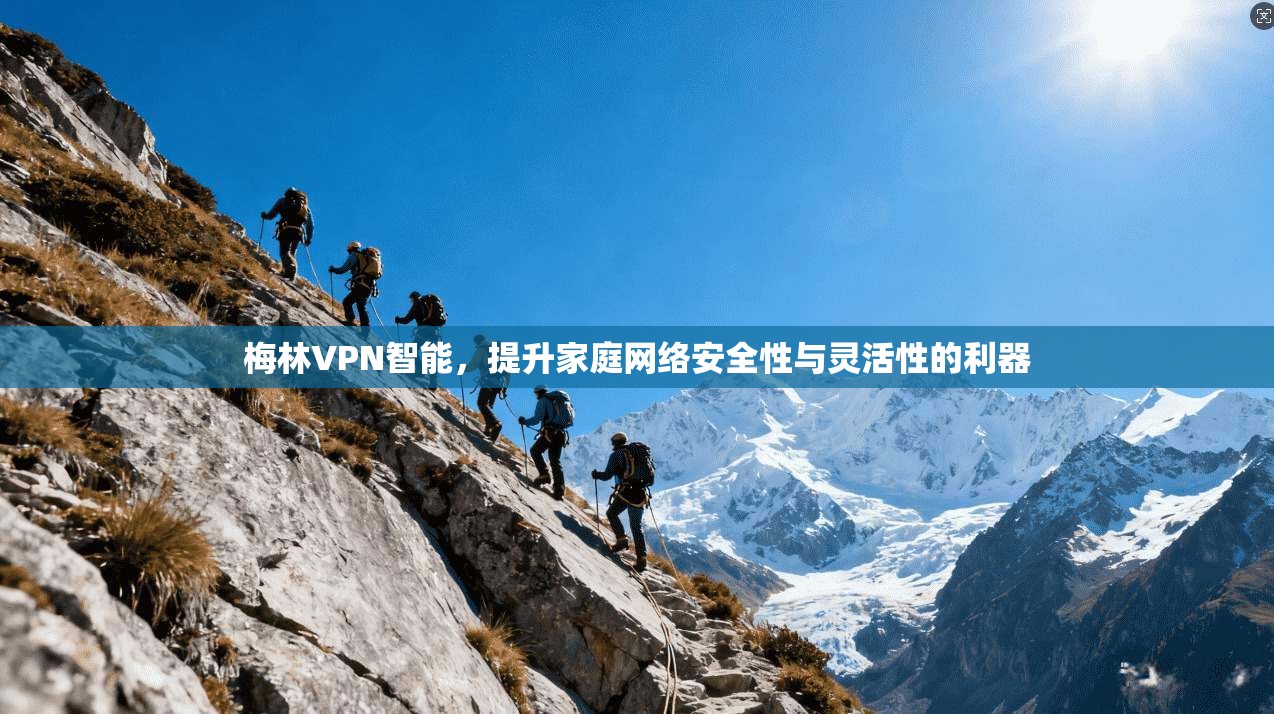梅林VPN智能，提升家庭网络安全性与灵活性的利器