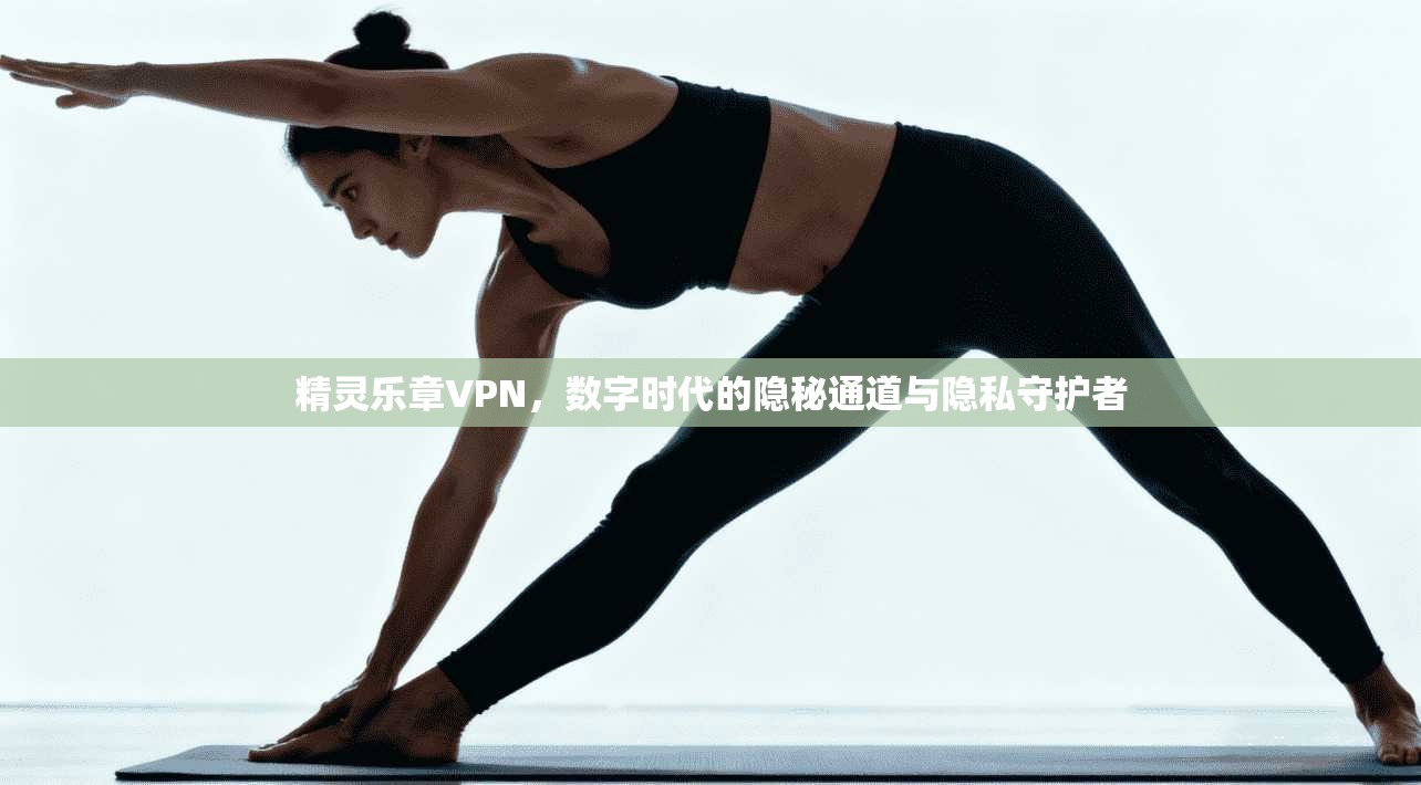 精灵乐章VPN，数字时代的隐秘通道与隐私守护者