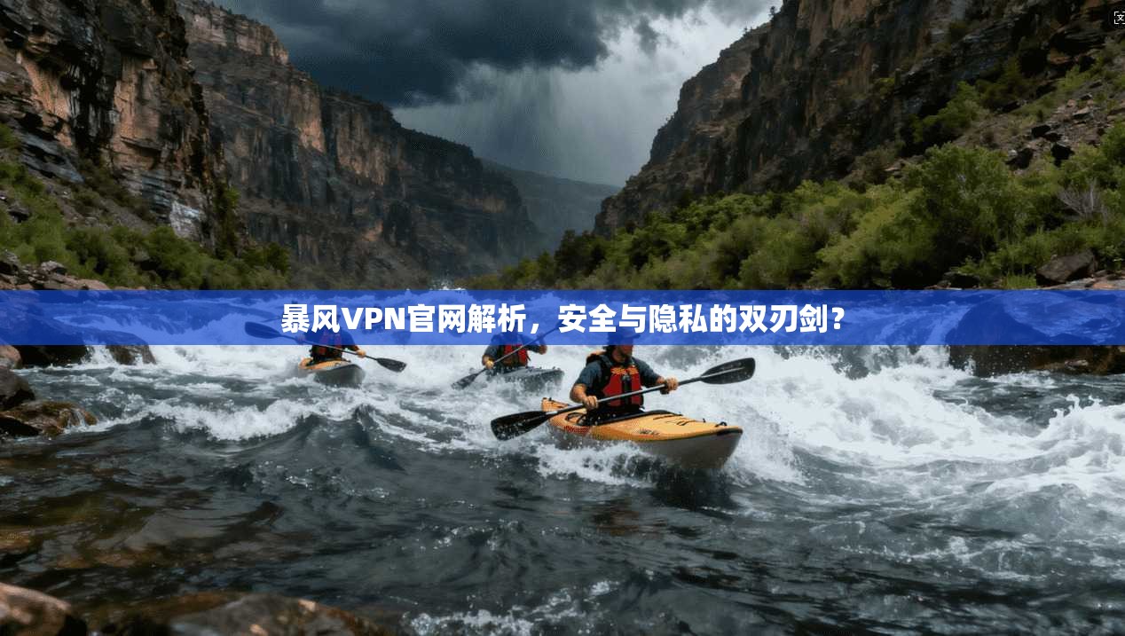 暴风VPN官网解析，安全与隐私的双刃剑？
