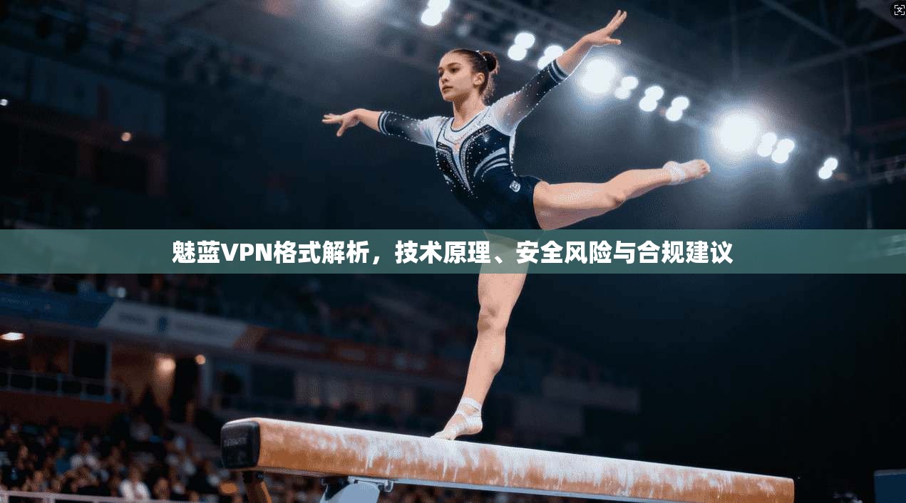 魅蓝VPN格式解析，技术原理、安全风险与合规建议