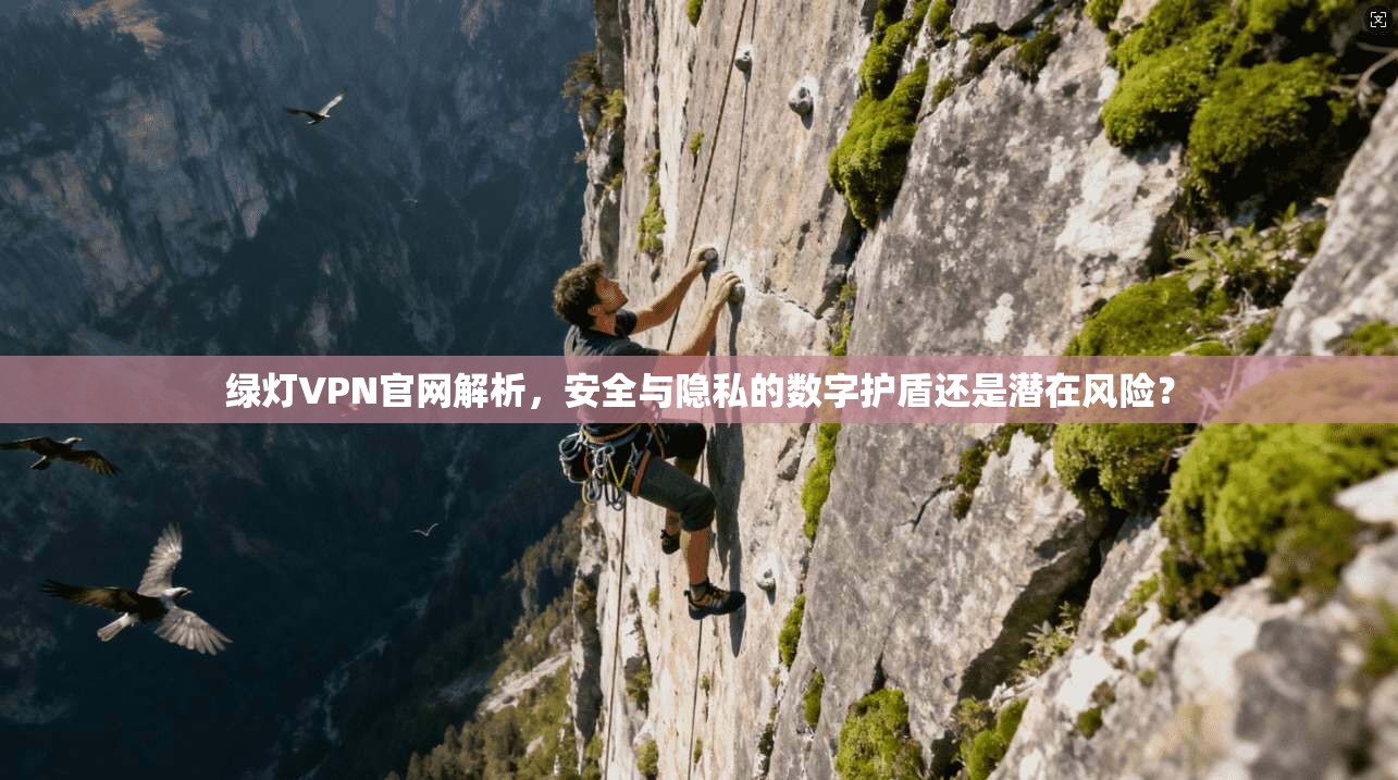 绿灯VPN官网解析，安全与隐私的数字护盾还是潜在风险？