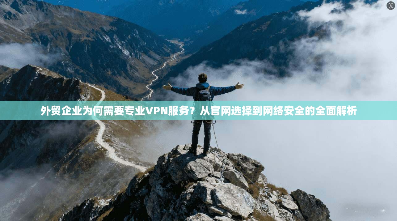外贸企业为何需要专业VPN服务？从官网选择到网络安全的全面解析