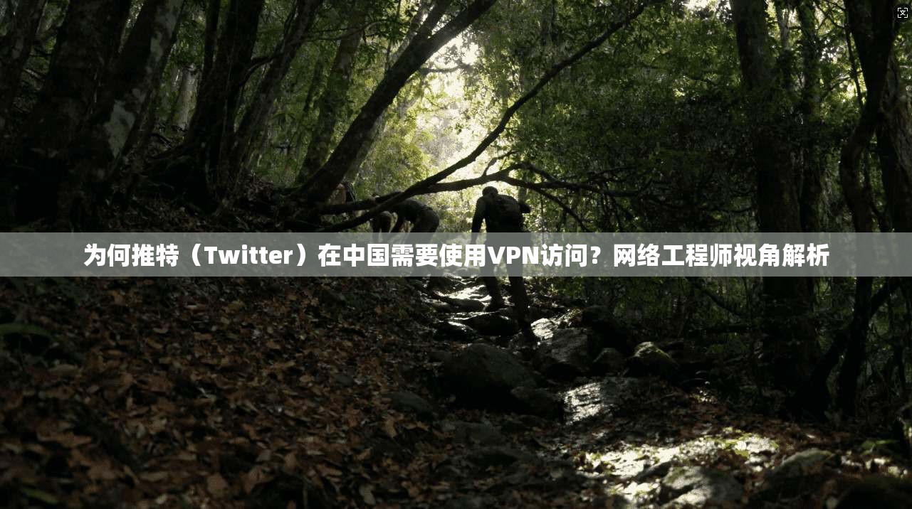 为何推特（Twitter）在中国需要使用VPN访问？网络工程师视角解析