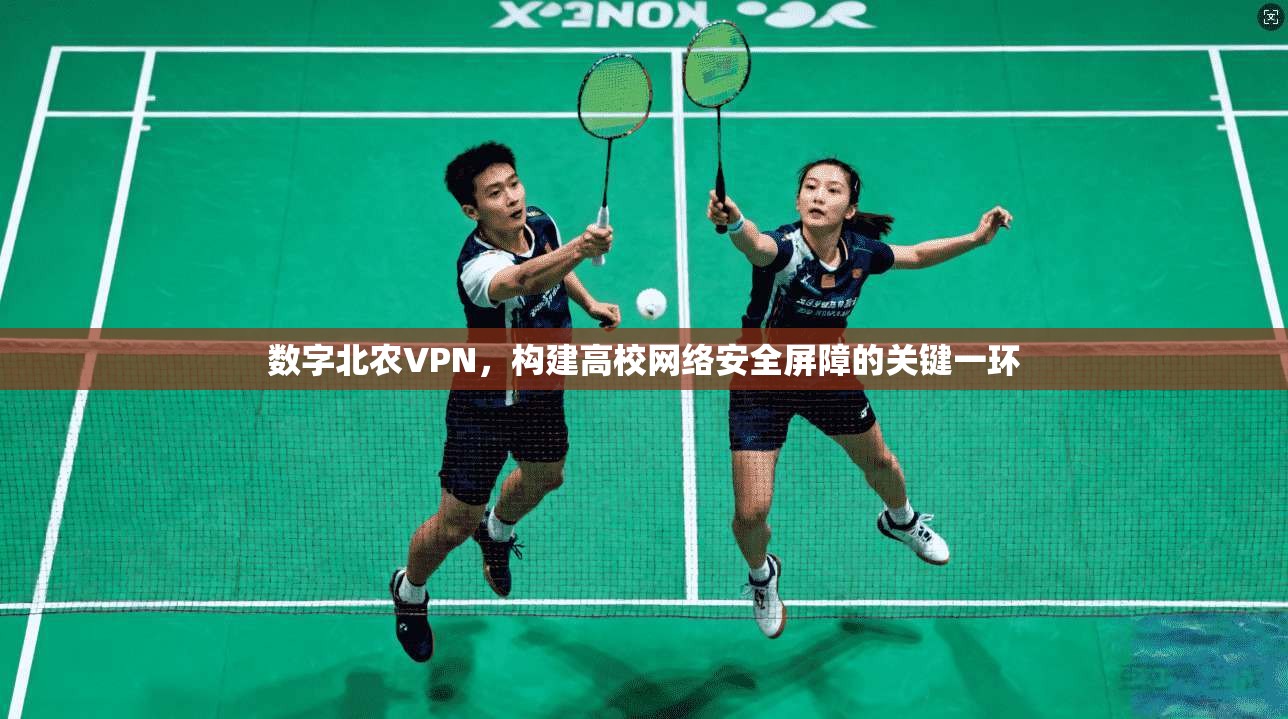 数字北农VPN，构建高校网络安全屏障的关键一环