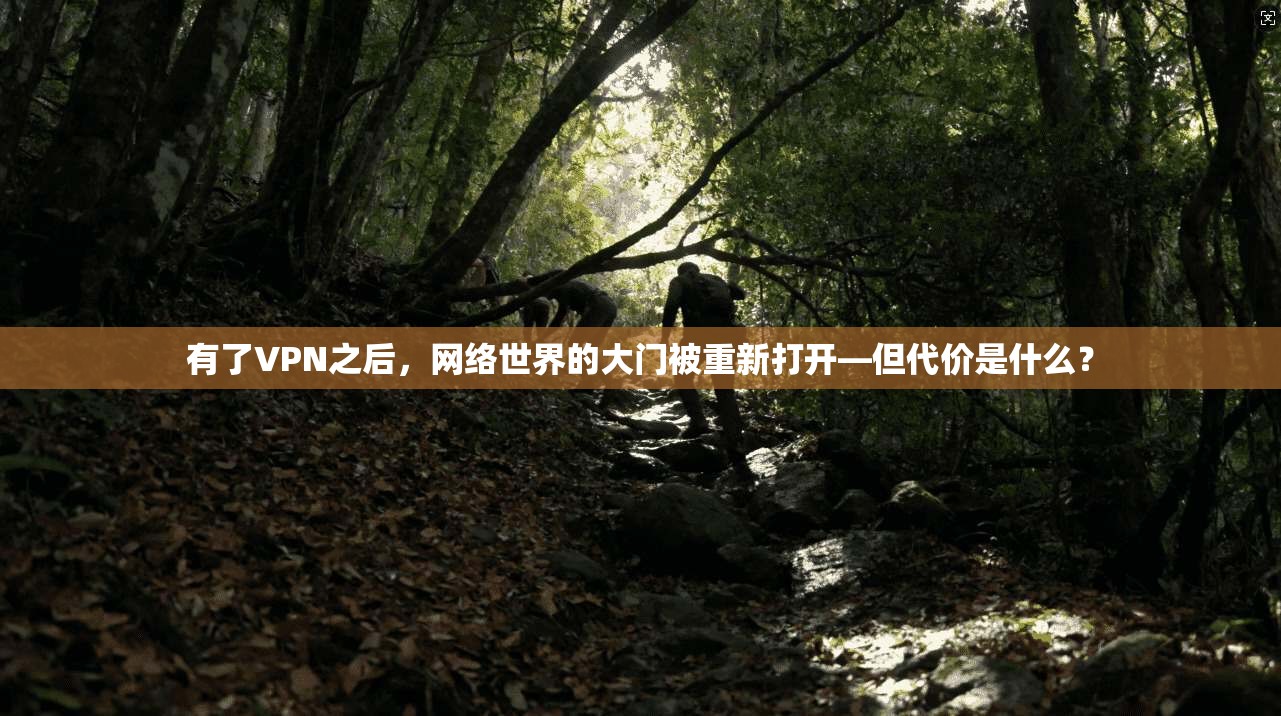 有了VPN之后，网络世界的大门被重新打开—但代价是什么？