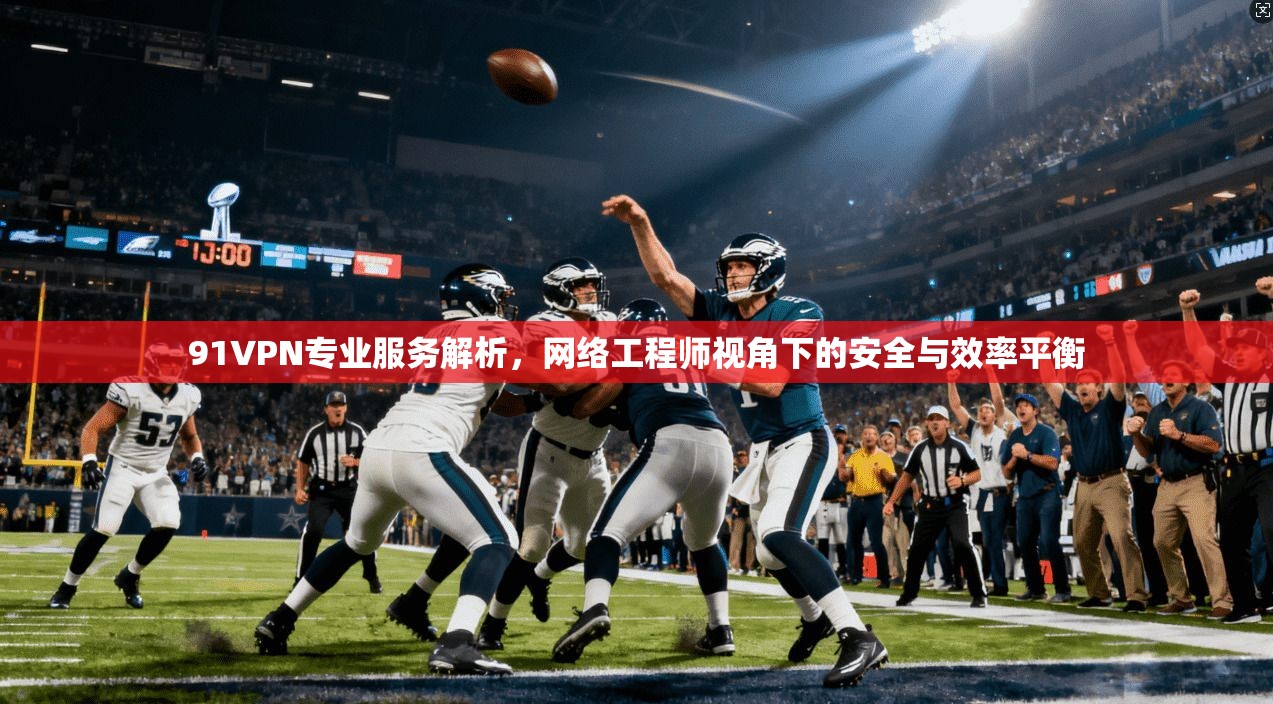 91VPN专业服务解析，网络工程师视角下的安全与效率平衡