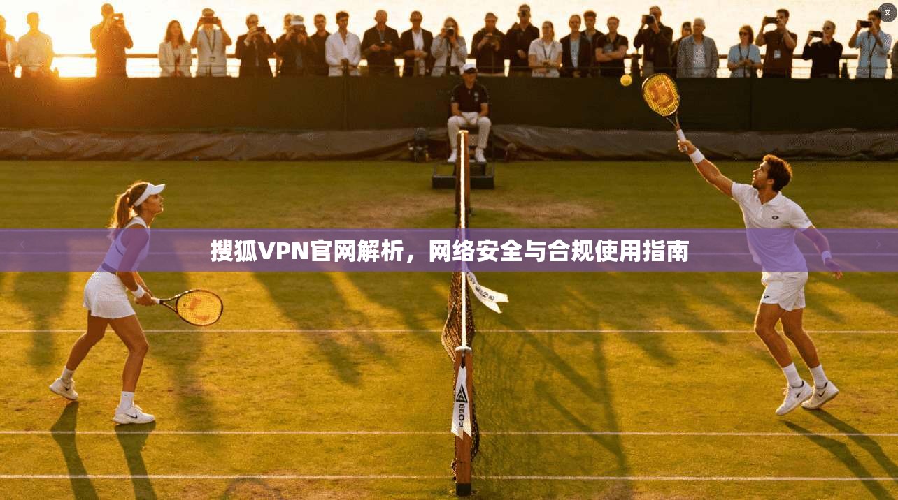 搜狐VPN官网解析，网络安全与合规使用指南