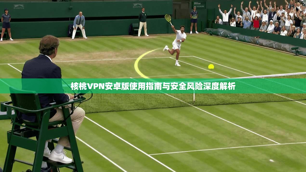 核桃VPN安卓版使用指南与安全风险深度解析