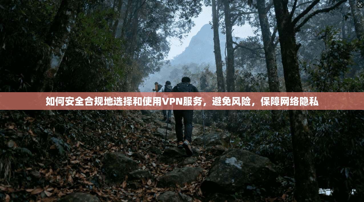 如何安全合规地选择和使用VPN服务，避免风险，保障网络隐私