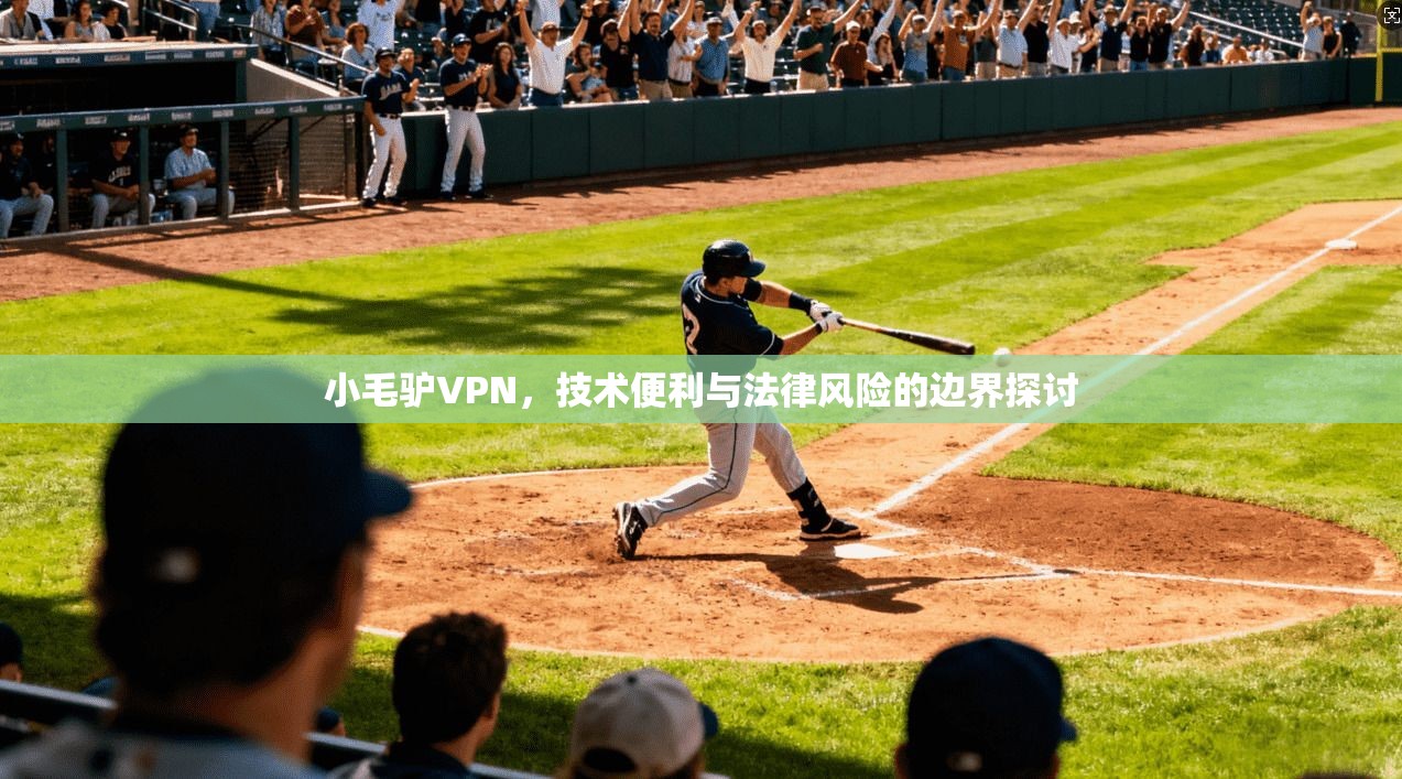 小毛驴VPN，技术便利与法律风险的边界探讨