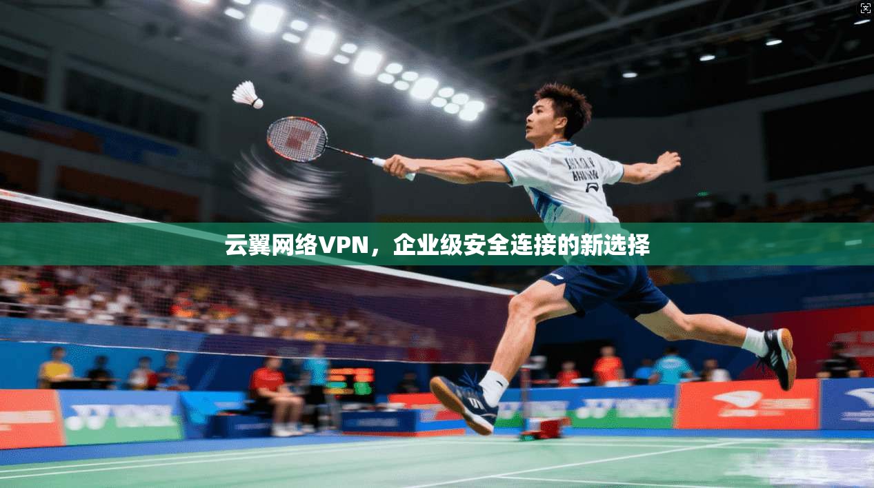 云翼网络VPN，企业级安全连接的新选择