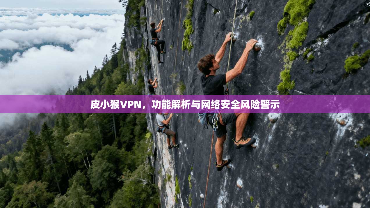 皮小猴VPN，功能解析与网络安全风险警示
