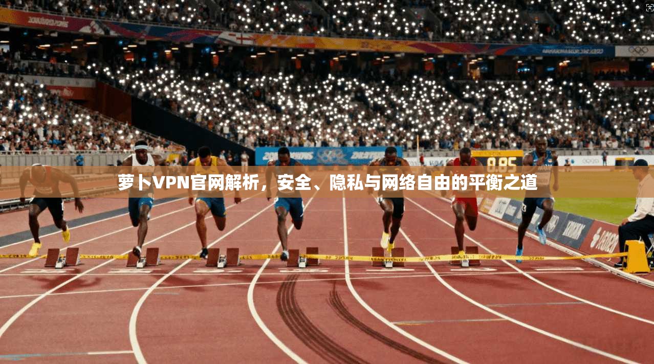 萝卜VPN官网解析，安全、隐私与网络自由的平衡之道