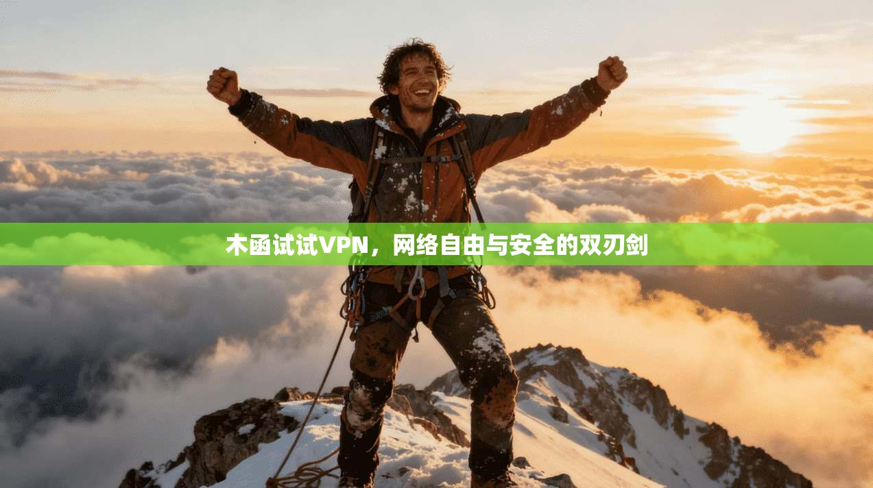 木函试试VPN，网络自由与安全的双刃剑