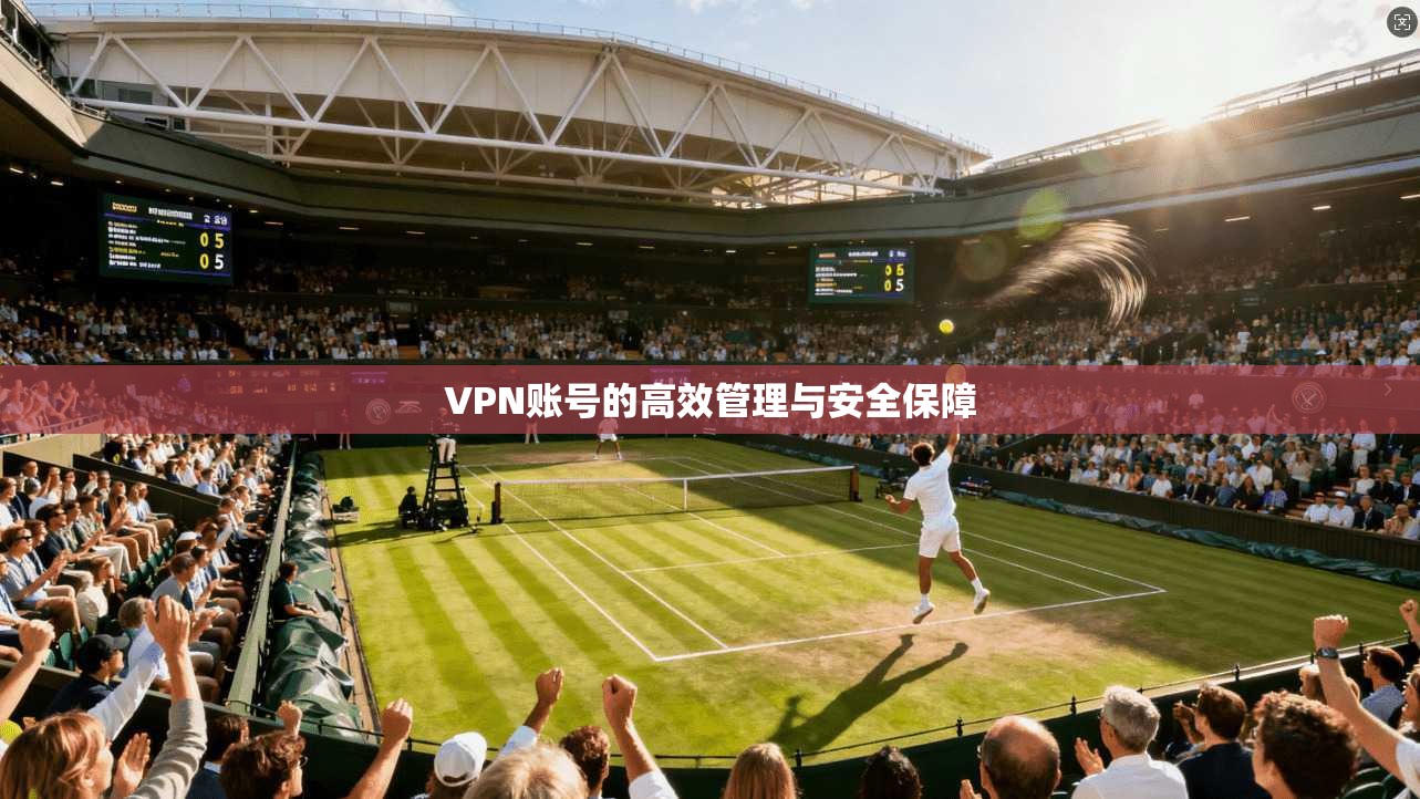 VPN账号的高效管理与安全保障  第1张