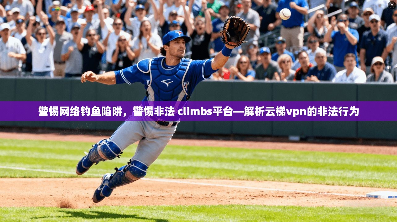 警惕网络钓鱼陷阱，警惕非法 climbs平台—解析云梯vpn的非法行为  第1张