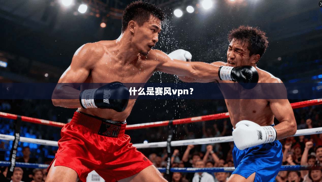 什么是赛风vpn？  第1张