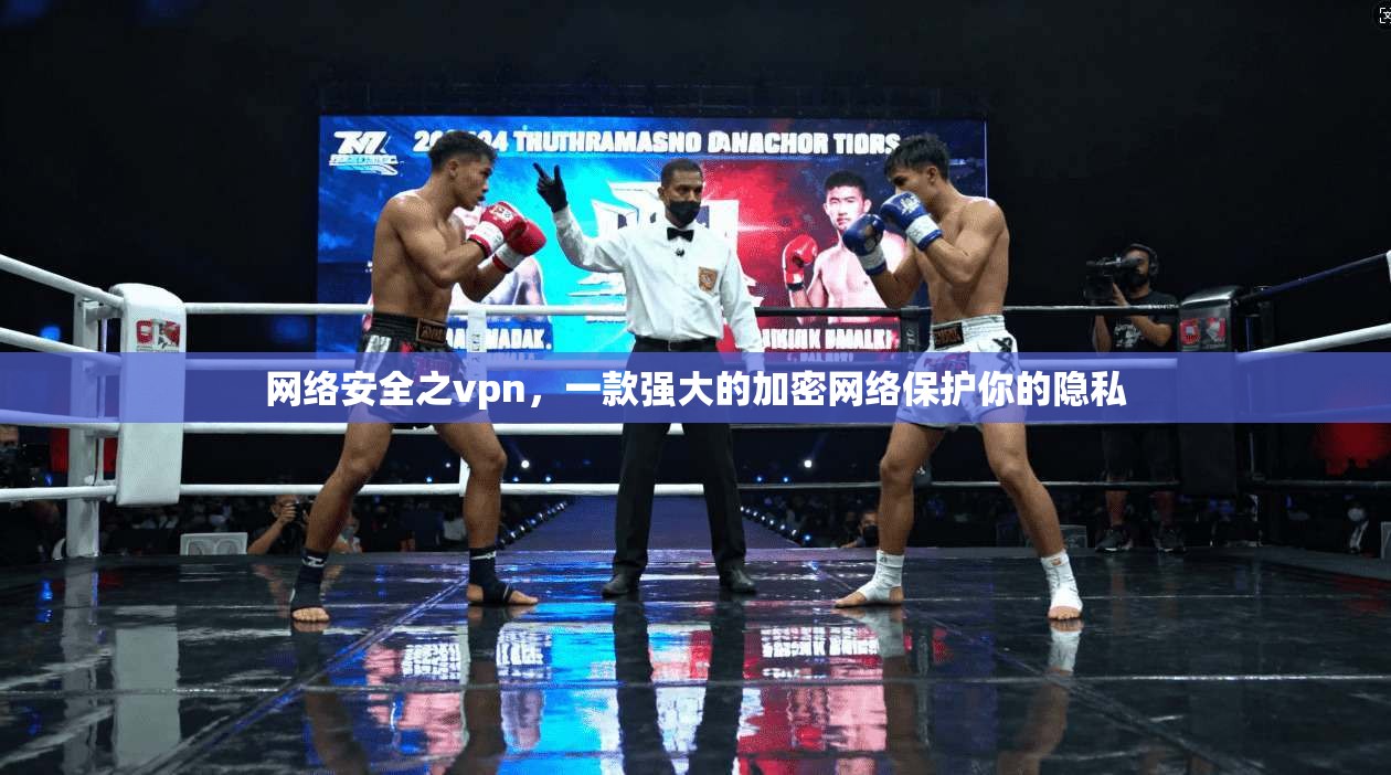 网络安全之vpn，一款强大的加密网络保护你的隐私
