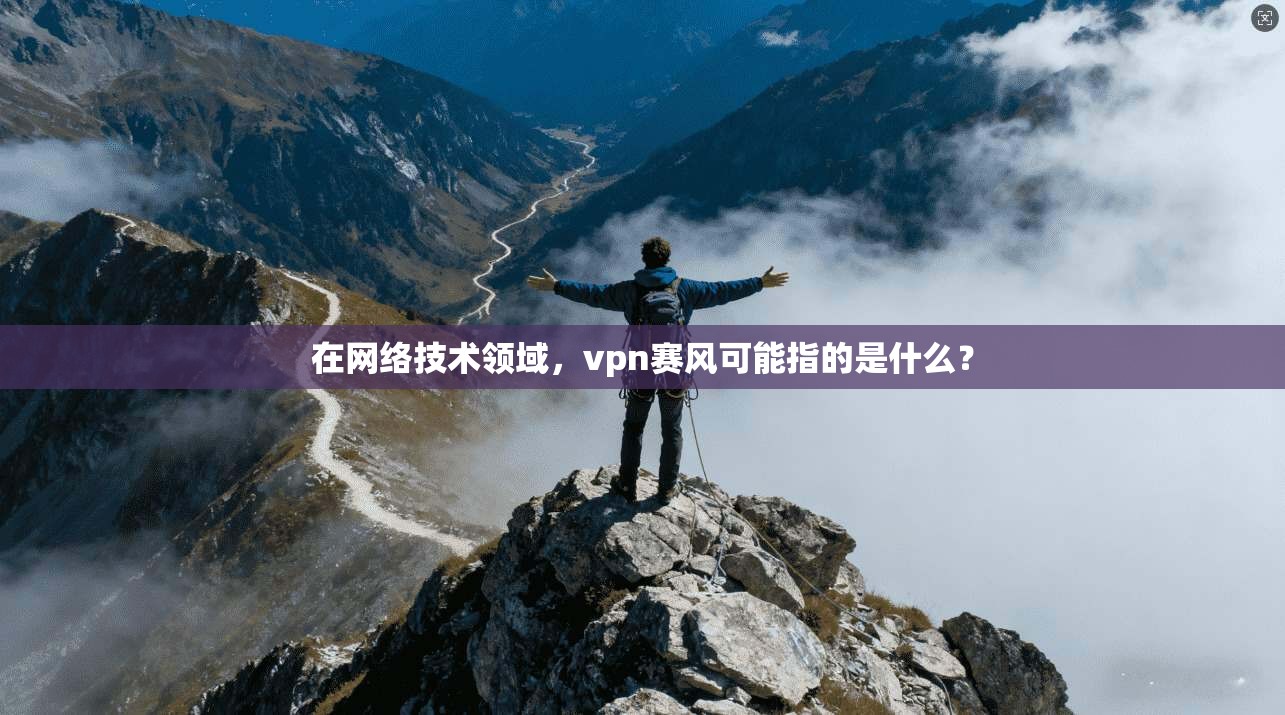 在网络技术领域，vpn赛风可能指的是什么？