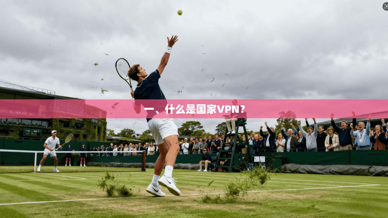 一、什么是国家VPN？