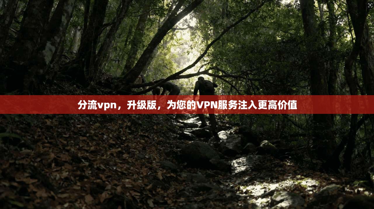 分流vpn,升级版,为您的VPN服务注入更高价值 第1张 分流vpn,升级版,为您的VPN服务注入更高价值 第1张