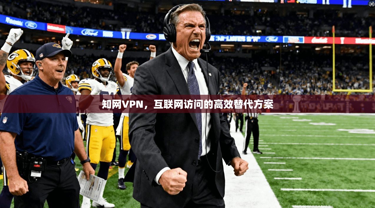 知网VPN，互联网访问的高效替代方案  第1张