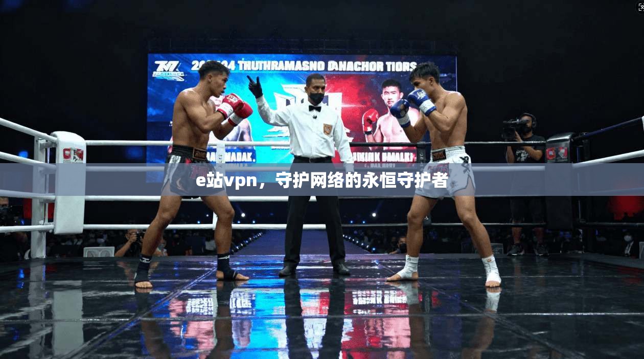 e站vpn，守护网络的永恒守护者