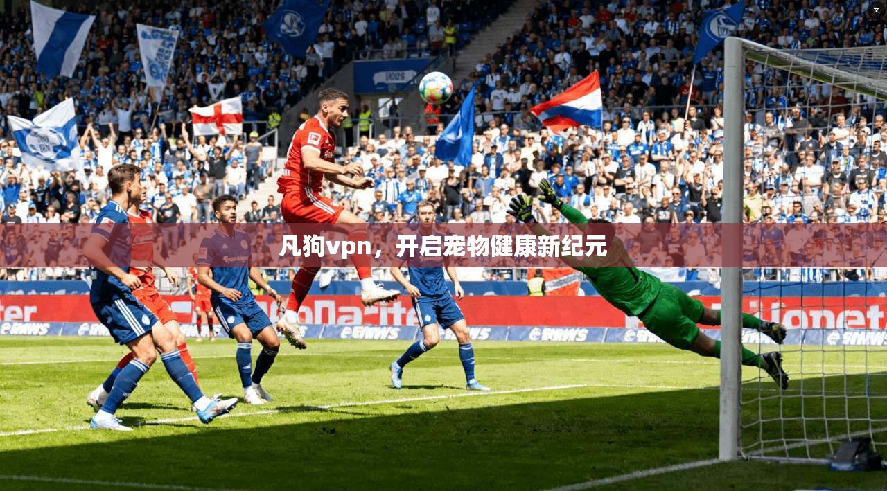 凡狗vpn，开启宠物健康新纪元