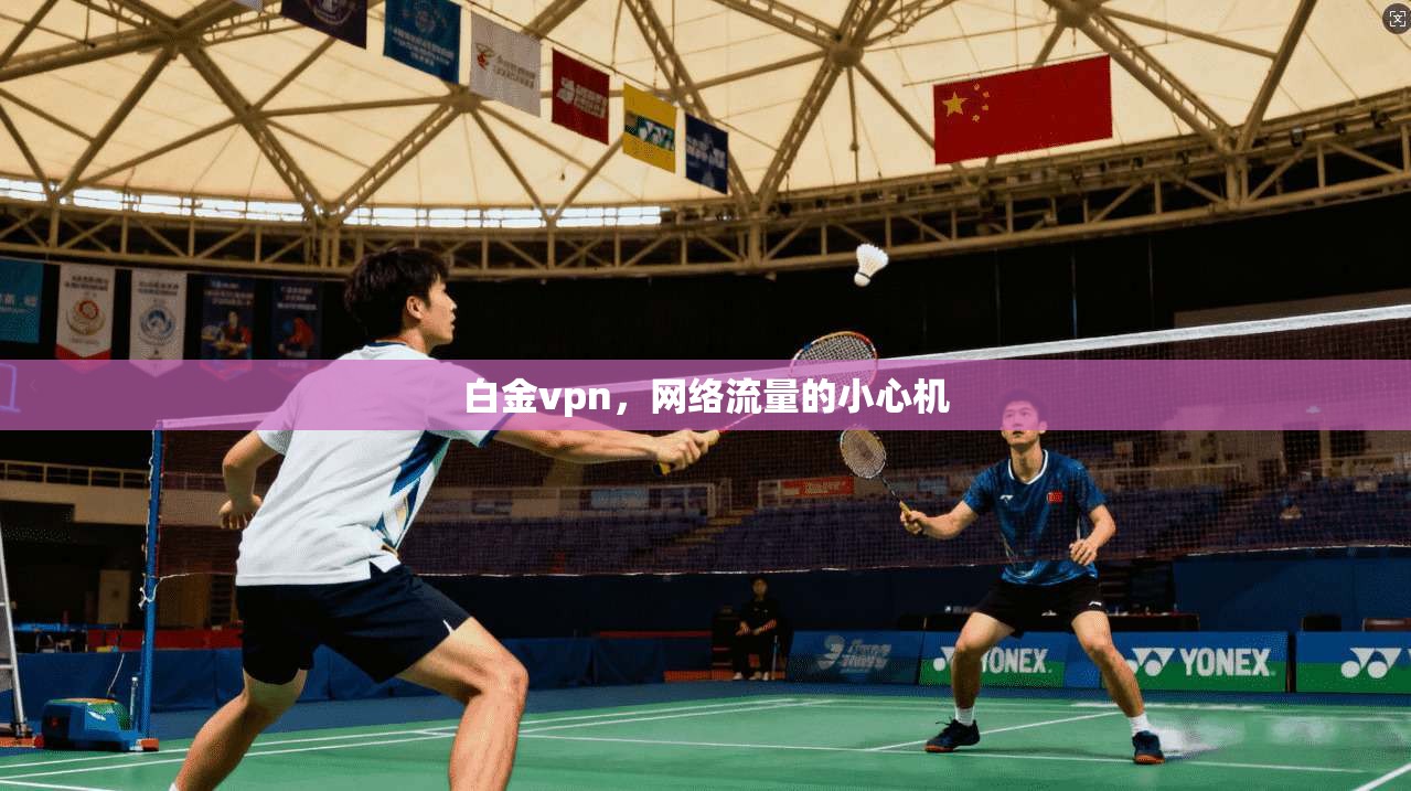 白金vpn，网络流量的小心机