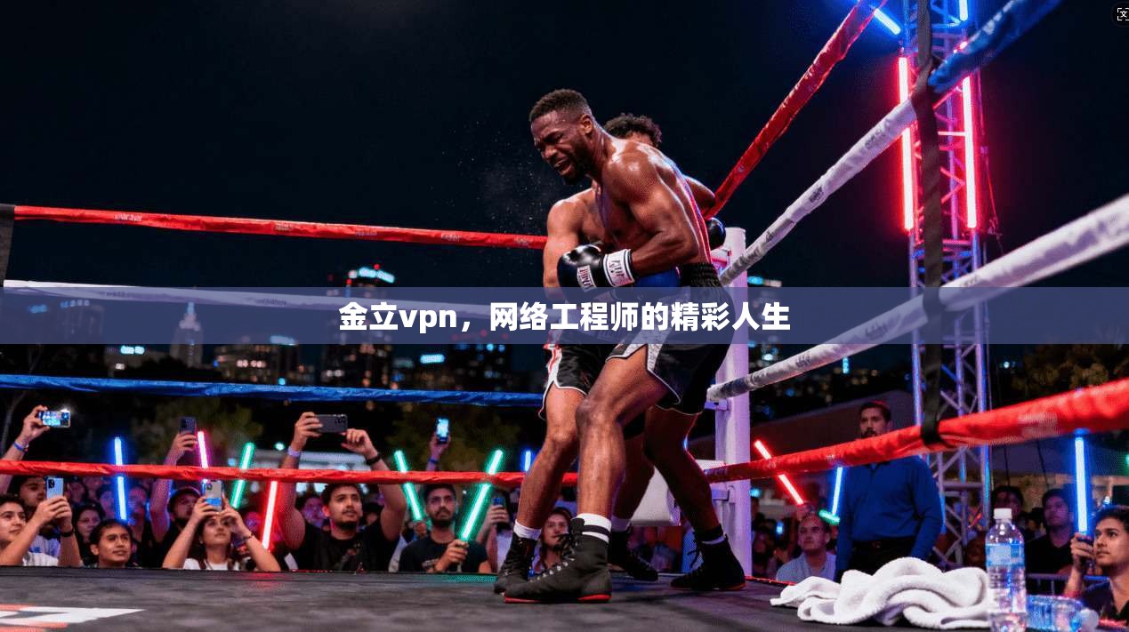 金立vpn，网络工程师的精彩人生