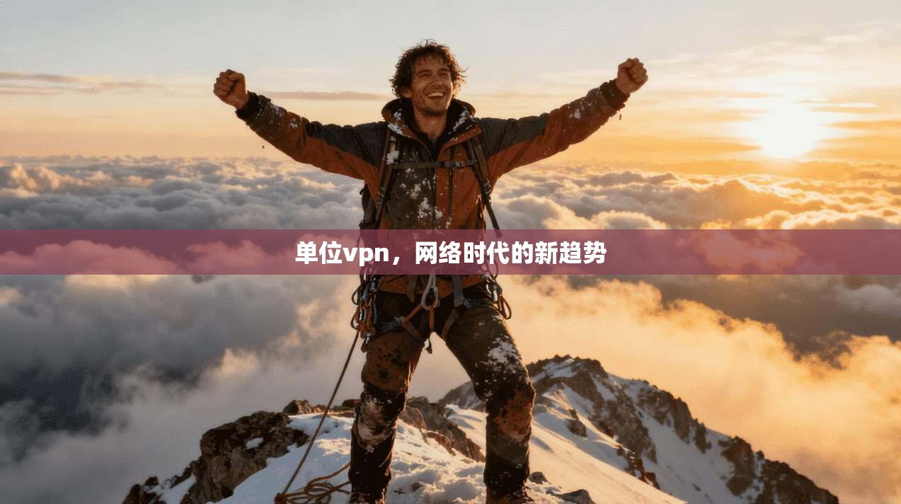 单位vpn，网络时代的新趋势