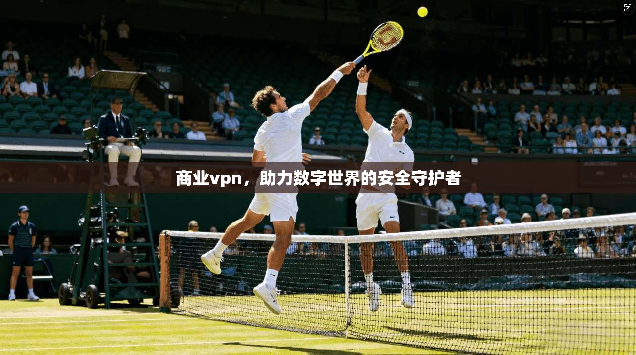 商业vpn，助力数字世界的安全守护者
