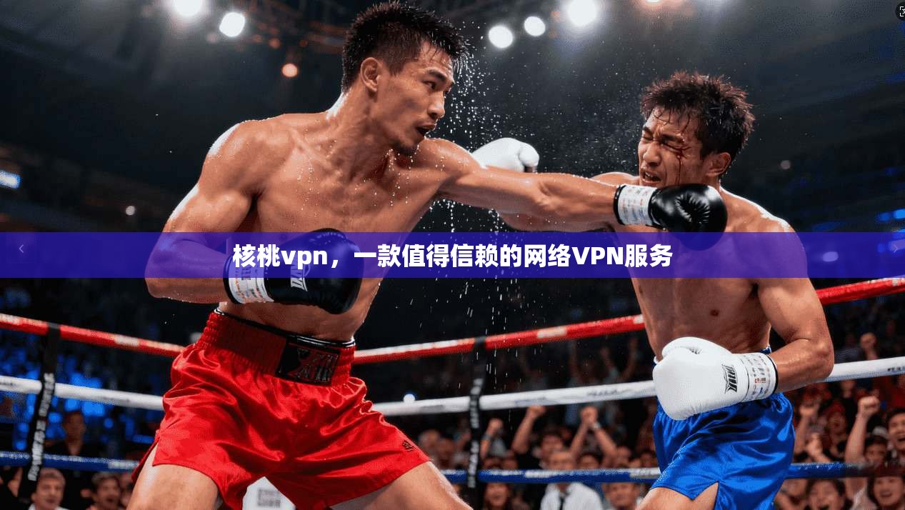 核桃vpn，一款值得信赖的网络VPN服务