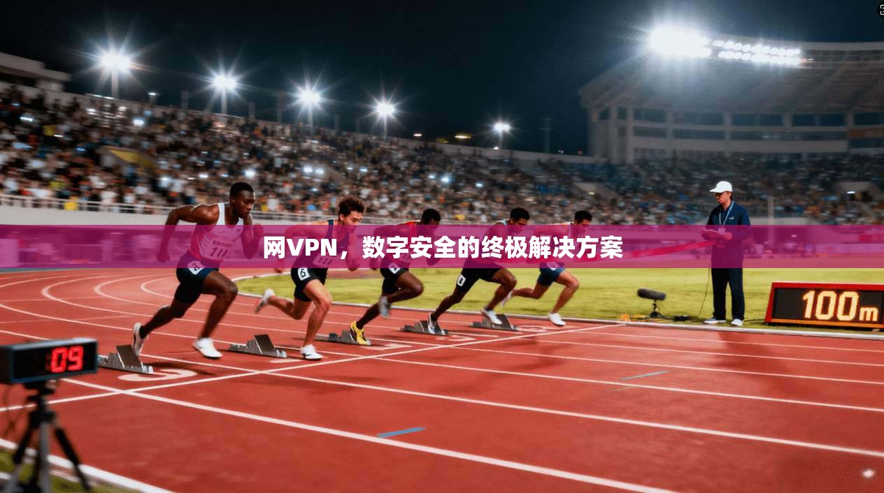 网VPN，数字安全的终极解决方案  第1张