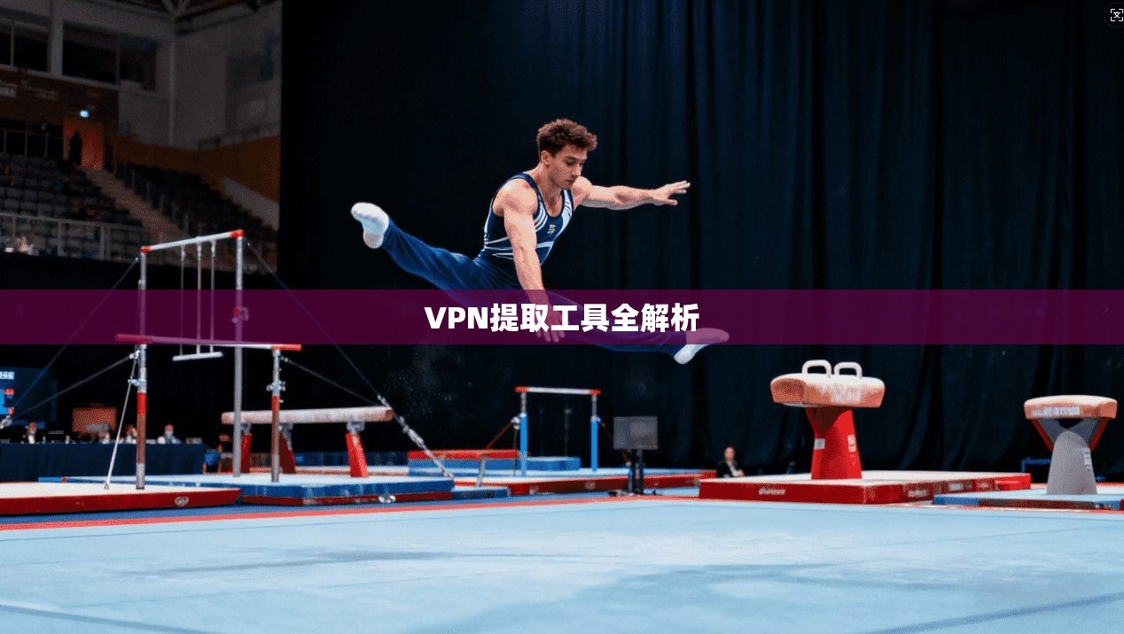VPN提取工具全解析 第1张 VPN提取工具全解析 第1张