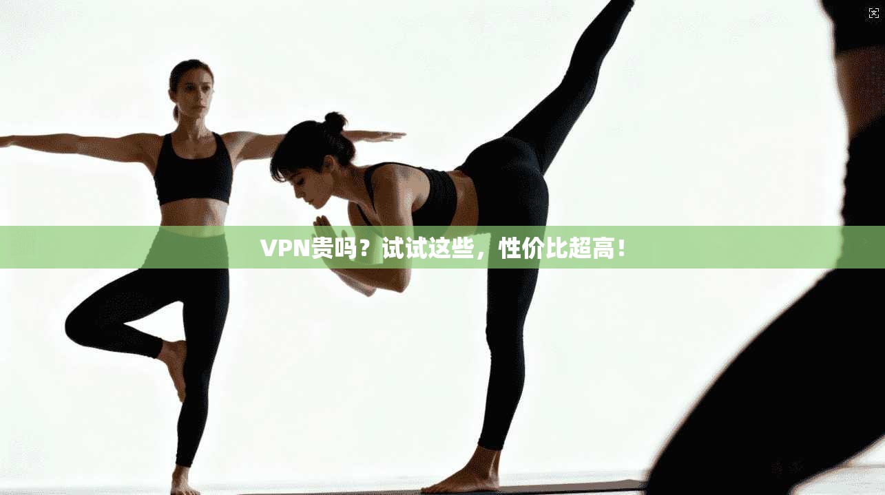 VPN贵吗？试试这些，性价比超高！