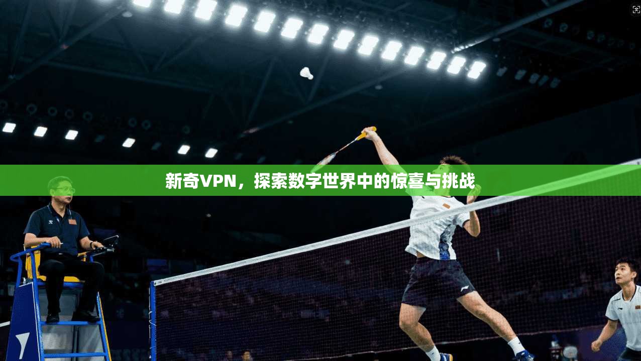 新奇VPN，探索数字世界中的惊喜与挑战