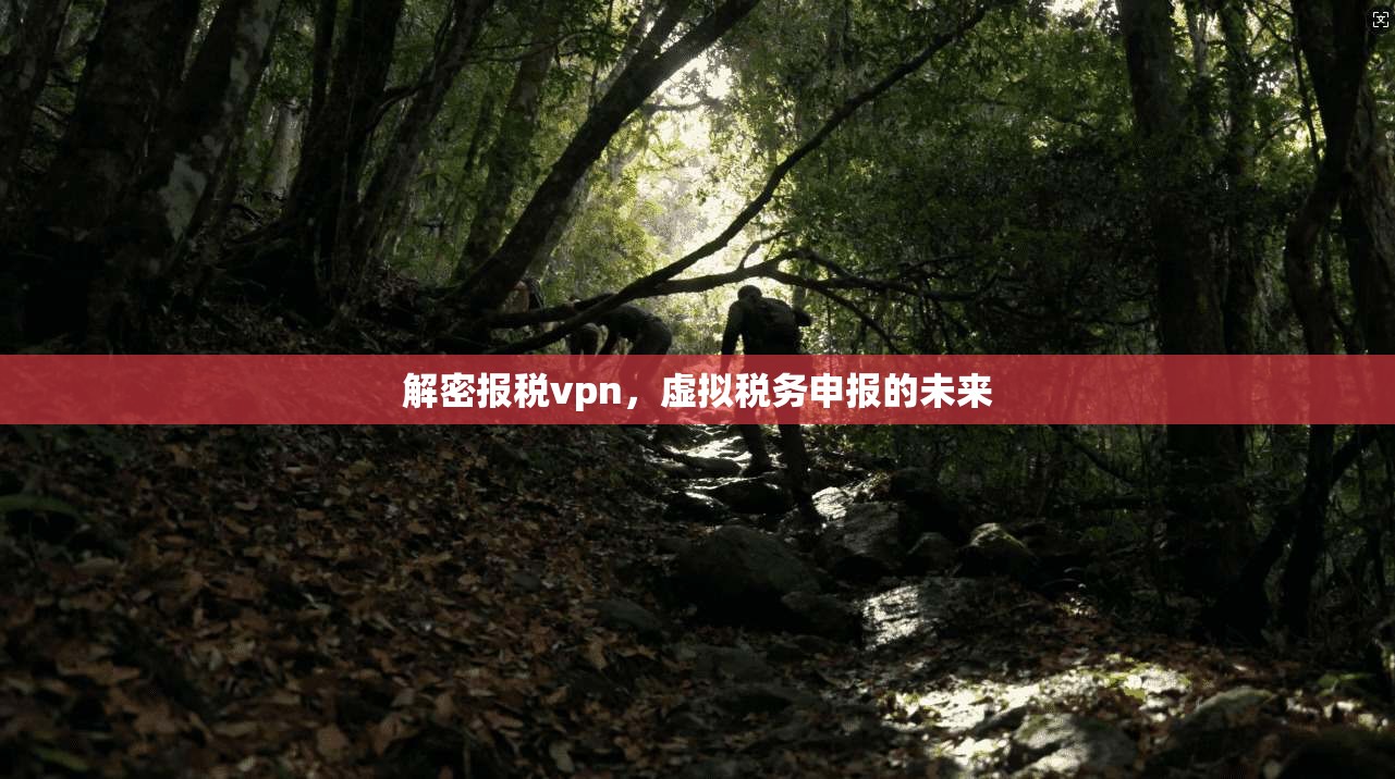 解密报税vpn，虚拟税务申报的未来