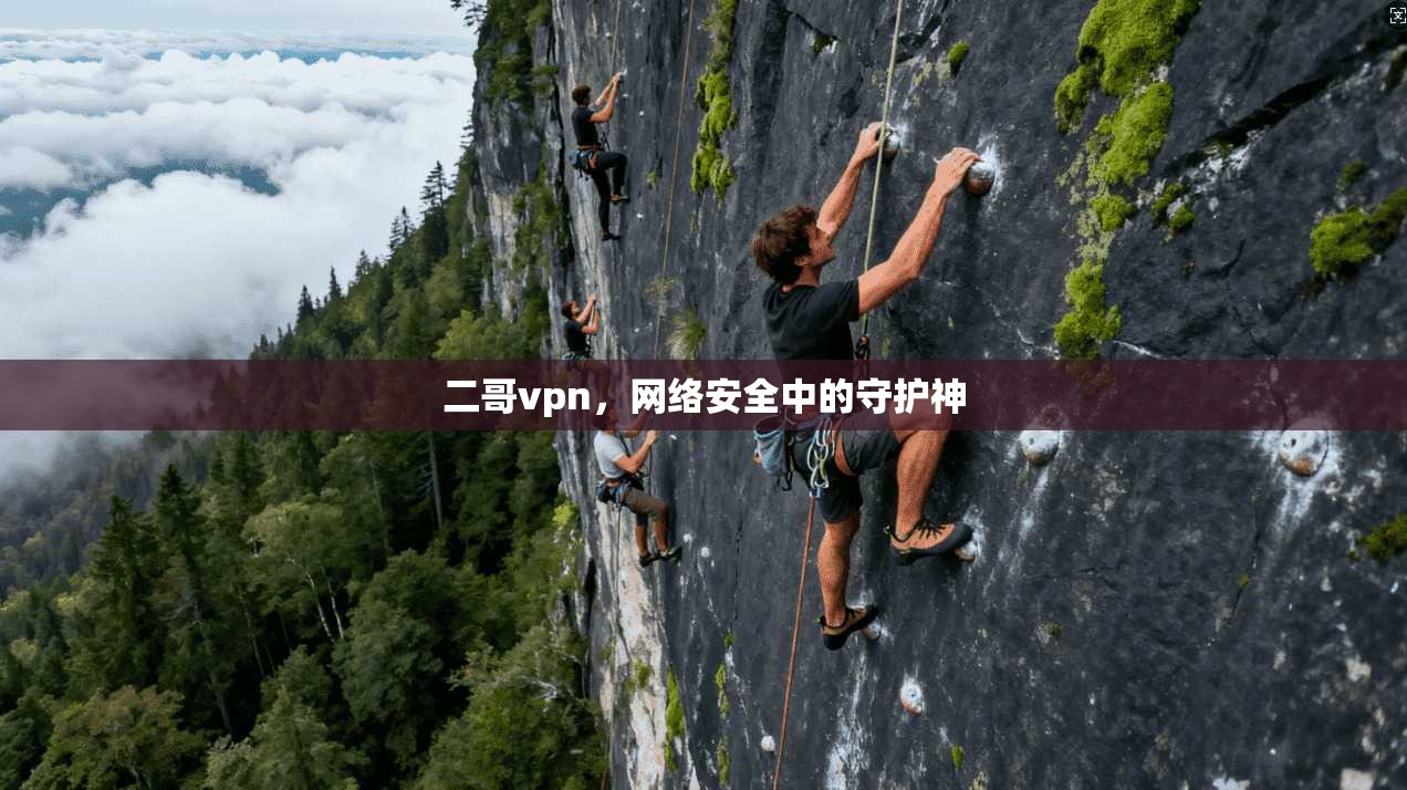 二哥vpn，网络安全中的守护神