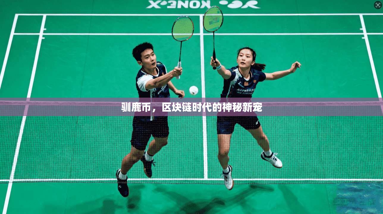 驯鹿币，区块链时代的神秘新宠