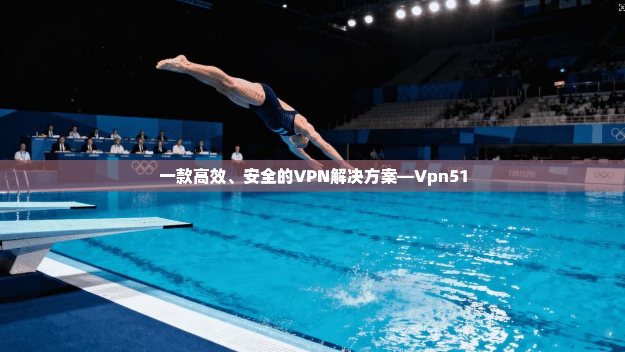 一款高效、安全的VPN解决方案—Vpn51