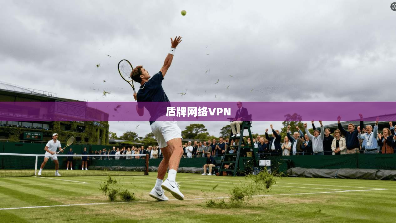 盾牌网络VPN
