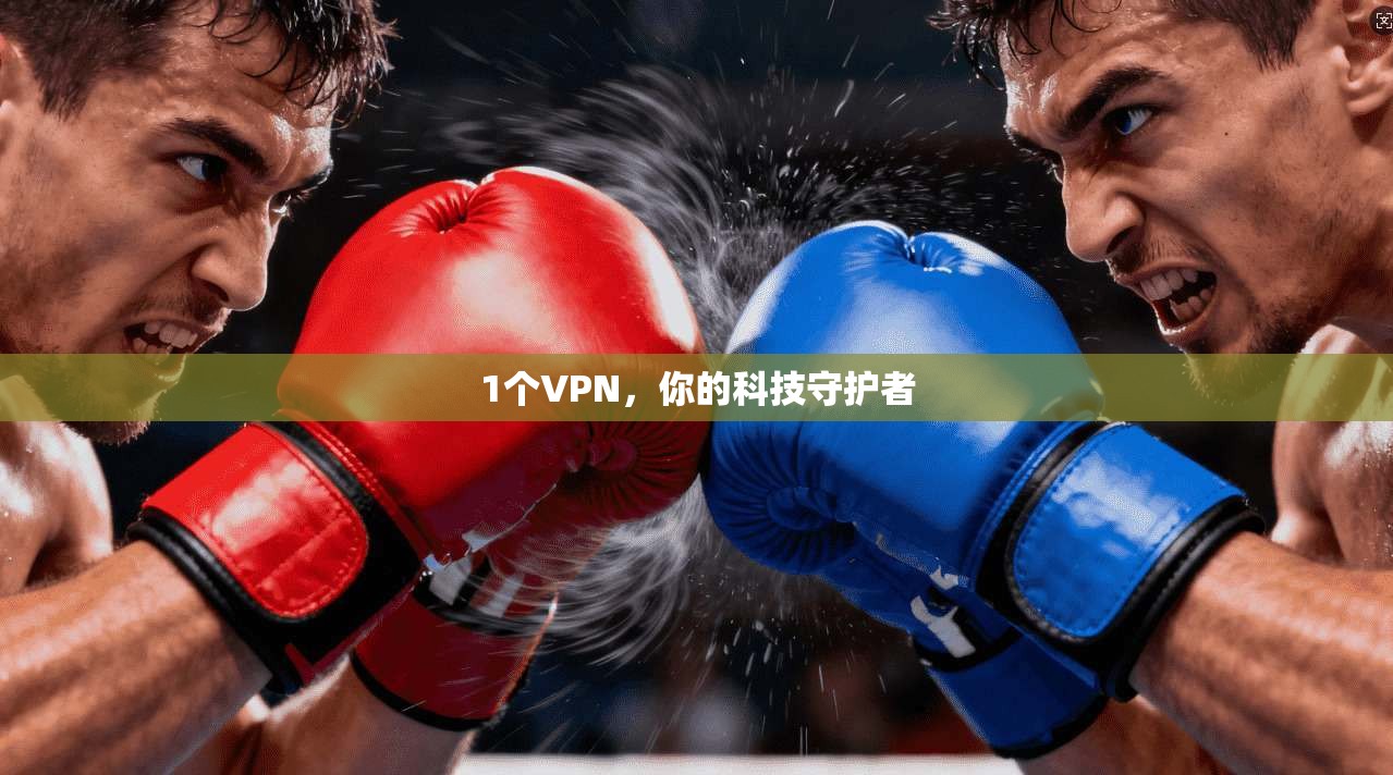 1个VPN，你的科技守护者