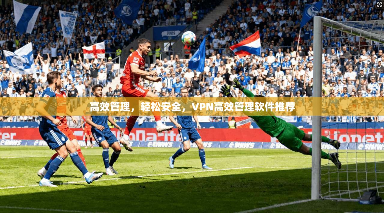 高效管理，轻松安全，VPN高效管理软件推荐